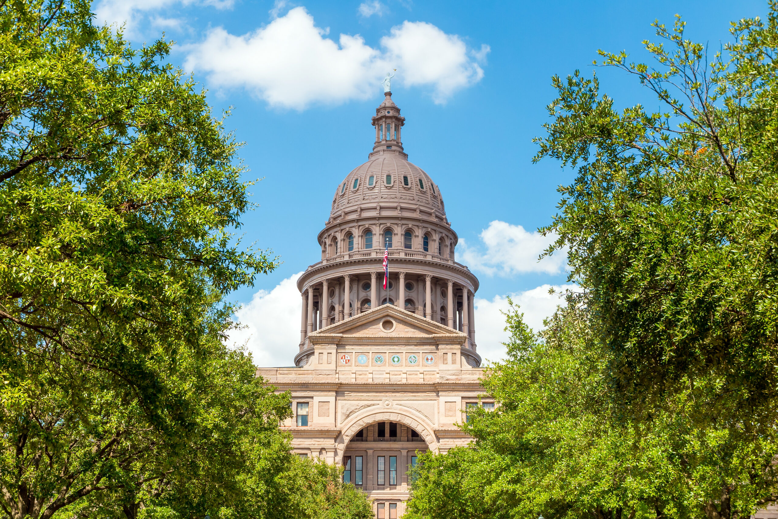 UPDATED Texas House Bill 3 (2023) Mandatory Armed Security on School