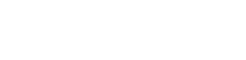 Risk Strategy Group